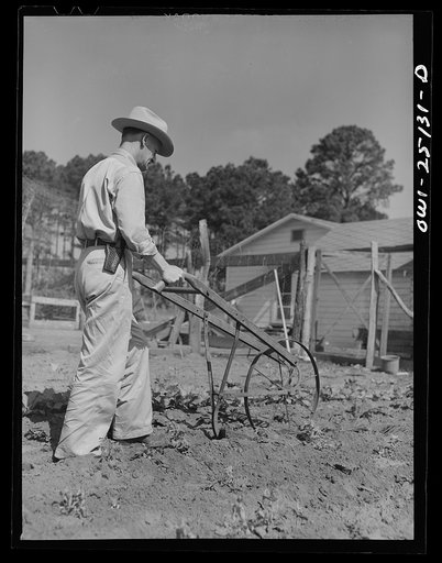 San Augustine, Texas. Jim Halberd [i.e., Halbert], the sheriff, working in his garden