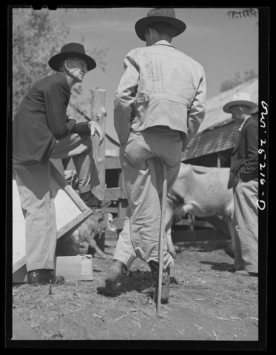 San Augustine, Texas. Waiting for the opening of the regular Monday livestock auction