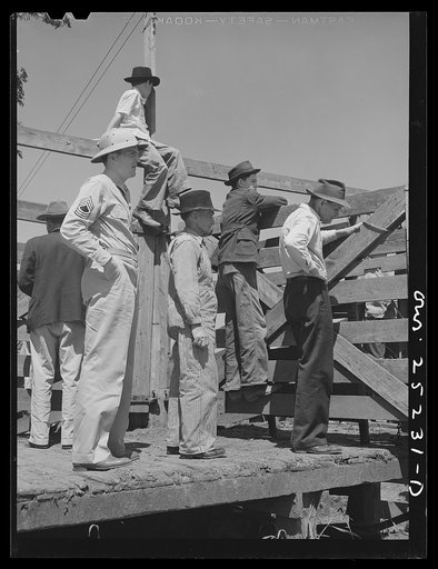 San Augustine, Texas. Watching livestock being unloaded into pens for the Monday auction