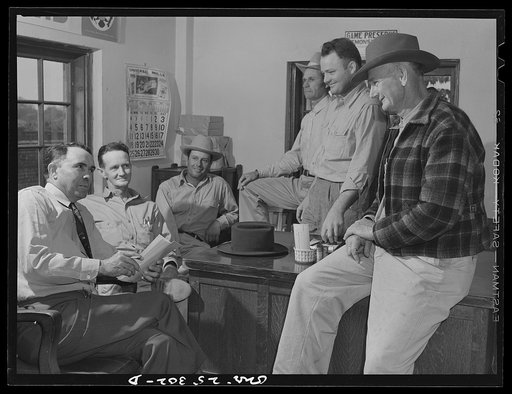 San Augustine, Texas. P.S. Goen, county agent, talking with farmers in his office