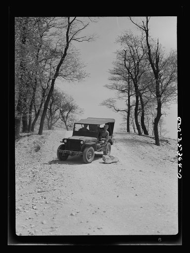 Holabird ordnance depot, Baltimore, Maryland. The rule for United States Army and civilian drivers is to avoid bumps. Here a jeep driver carefully avoids a rock on one of the camp roads. Drivers are thoroughly instructed in preventive maintenance measures before they are allowed to drive United Stat