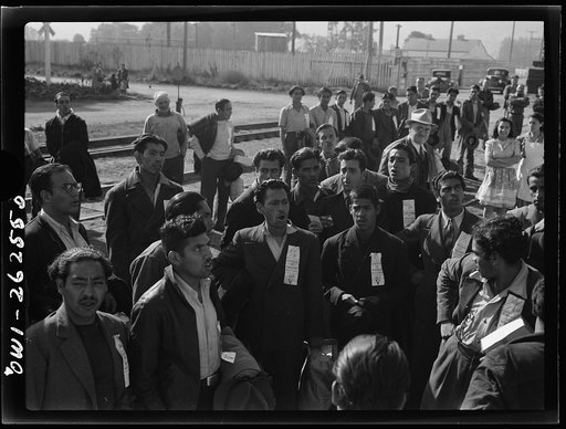 Stockton (vicinity), California. Mexican agricultural laborers arriving by train to help in the harvesting of beets