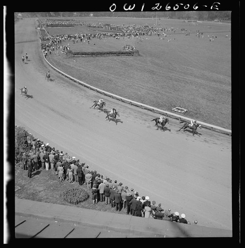 Pimlico racetrack, near Baltimore, Maryland. Horses running at Pimlico track