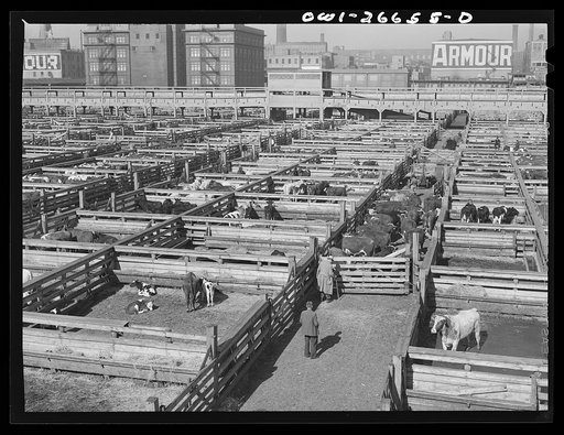 Chicago, Illinois. Union stockyards