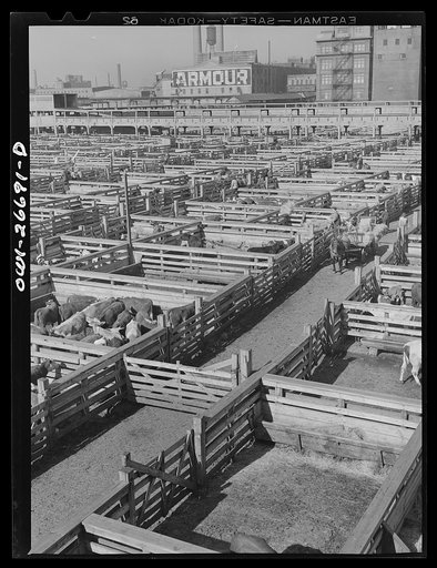 Untitled photo, possibly related to: Chicago, Illinois. General view of the Union stockyards