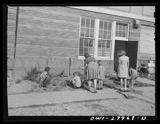 Untitled photo, possibly related to: Orange, Texas. Extended school day program in the public schools. These children are working on their garden after the regular school day is over, waiting for their parents to finish work and call for them