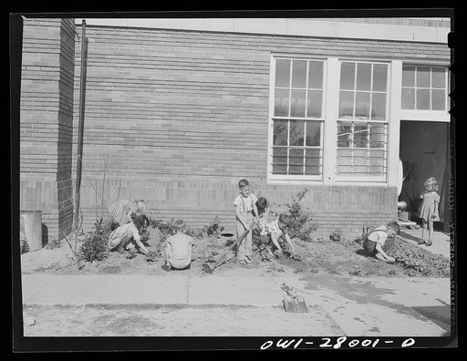 Untitled photo, possibly related to: Orange, Texas. Extended school day program in the public schools. These children are working on their garden after the regular school day is over, waiting for their parents to finish work and call for them