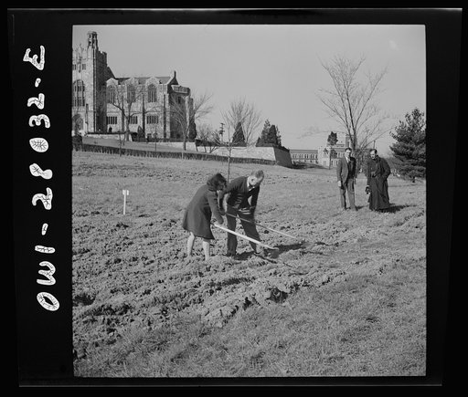 Washington, D.C. Victory gardening in the Northwest section