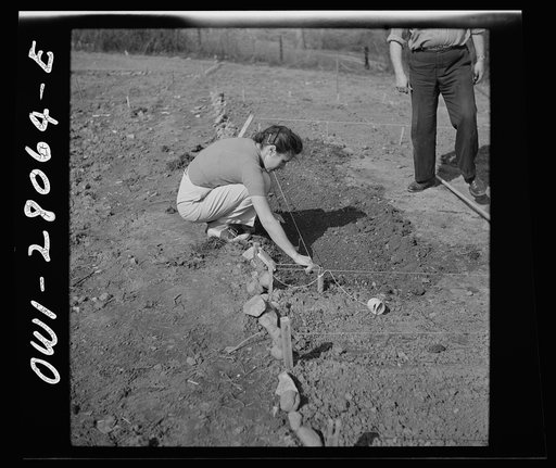 Washington, D.C. Victory gardening in the Northwest section