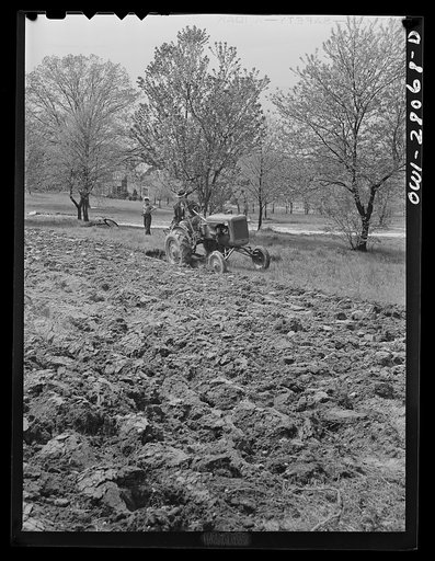 Washington, D.C. Victory gardening in the Northwest section