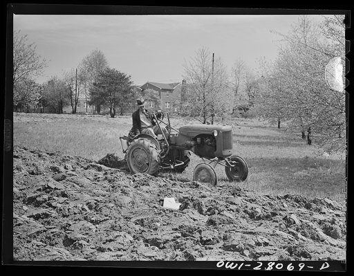 Washington, D.C. Victory gardening in the Northwest section