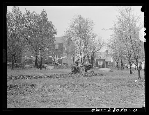 Washington, D.C. Victory gardening in the Northwest section