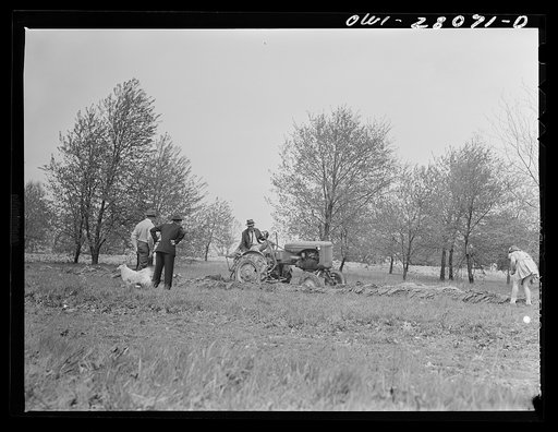 Washington, D.C. Victory gardening in the Northwest section