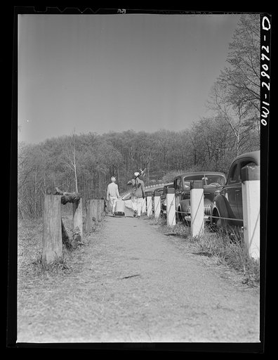 Washington, D.C. Victory gardening in the Northwest section