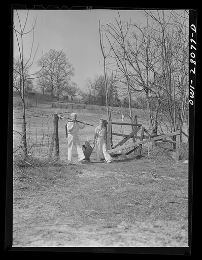 Washington, D.C. Victory gardening in the Northwest section