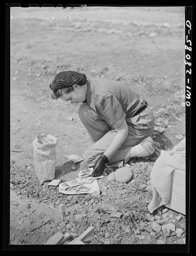 Washington, D.C. Victory gardening in the Northwest section