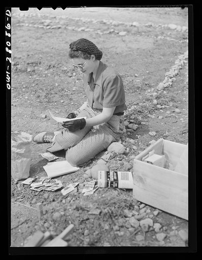 Washington, D.C. Victory gardening in the Northwest section