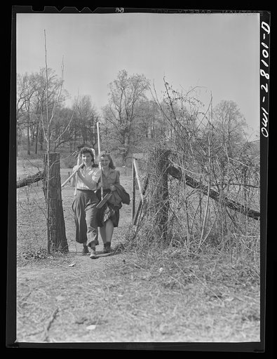 Washington, D.C. Victory gardening in the Northwest section