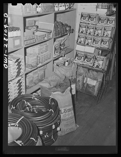 Washington, D.C. Victory gardening in the Northwest section. Equipment for the victory gardens