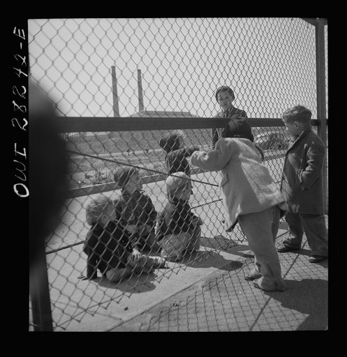 Buffalo, New York. Lakeview nursery school for children of working mothers, operated by the Board of Education at a tuition fee of three dollars weekly. Children from outside looking into the nursery school yard longingly