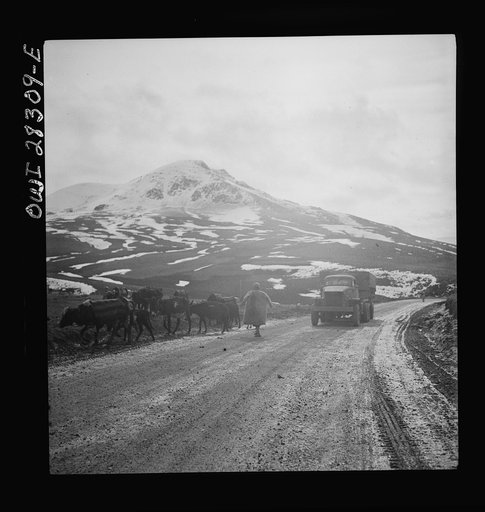 Somewhere in the Persian corridor. A United States Army truck convoy carrying supplies for the aid of Russia. An Iranian native moving his livestock from the mountain road as a United States truck passes