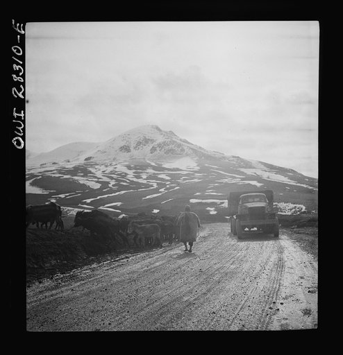 Somewhere in the Persian corridor. A United States Army truck convoy carrying supplies for the aid of Russia. An Iranian native moving his livestock from the mountain road as a United States truck passes