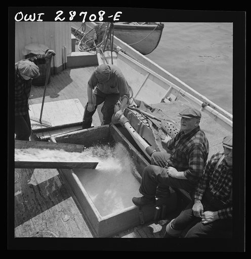 Untitled photo, possibly related to: New York, New York. Icing the hold of a ship at the Fulton fish market