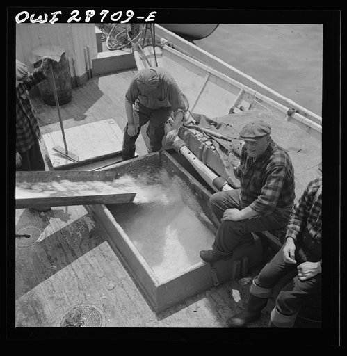 New York, New York. Icing the hold of a ship at the Fulton fish market