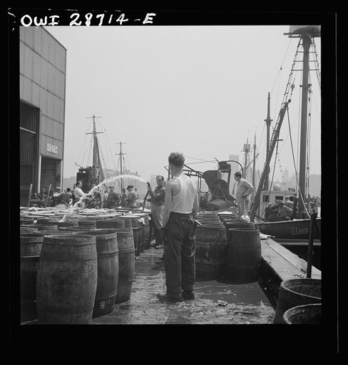 New York, New York. Watering fish at the Fulton fish market with brine water