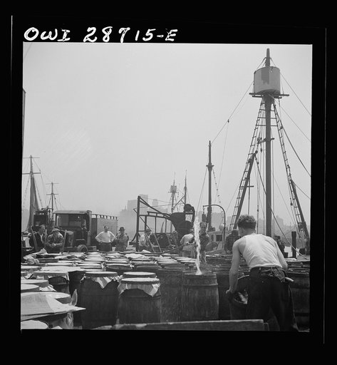 Untitled photo, possibly related to: New York, New York. Watering fish at the Fulton fish market with brine water