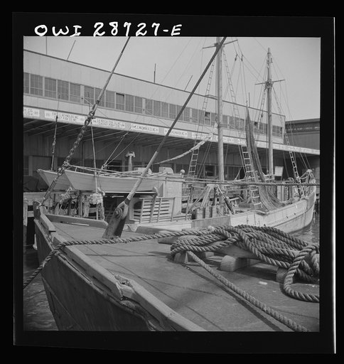 New York, New York. A scene at the Fulton fish market