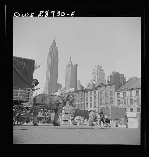 New York, New York. A scene at the Fulton fish market