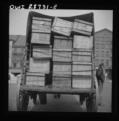New York, New York. Shipping fish by horse-drawn vehicle from Fulton fish market