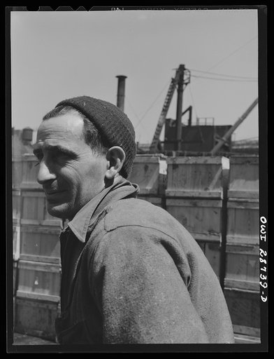 New York, New York. Dock stevedore at Fulton fish market