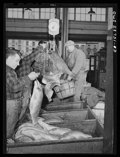 New York, New York. "Hookers" weighing up cod fish in the Fulton fish market