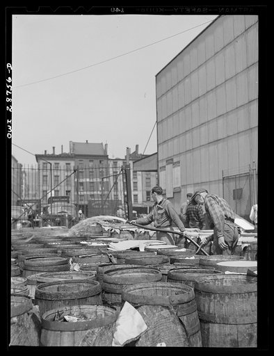 New York, New York. Dock stevedores saturating barrels of fish with brine water at the Fulton fish market