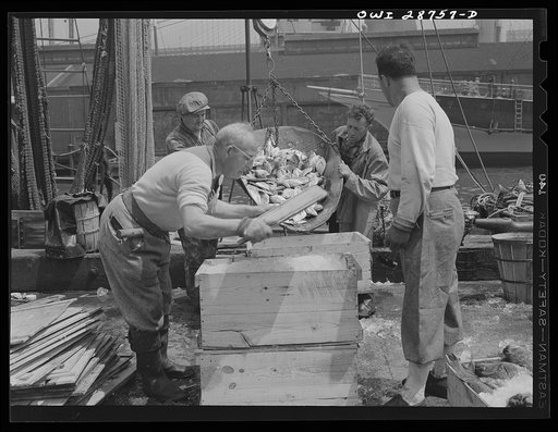 New York, New York. Dock stevedores packing and icing fish at the Fulton fish market