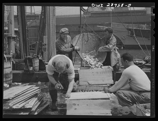 New York, New York. Dock stevedores packing and icing fish at the Fulton fish market
