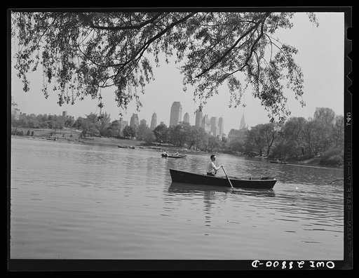 New York, New York. Scene in Central Park