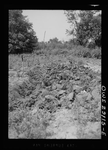 Untitled photo, possibly related to: Washington, D.C. Workers in a large victory garden on Fairlawn Avenue, Southeast