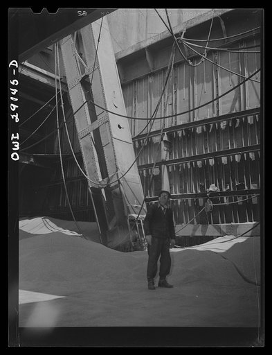 Buffalo, New York. Inside the nearly emptied hatch of a grain boat from Duluth unloading wheat at a grain elevator. The "leg" is drawing grain into the tower on an endless belt of buckets