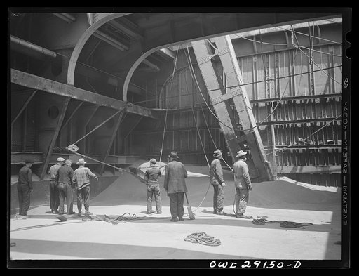 Buffalo, New York. Inside the nearly-emptied hatch of a Duluth grain boat unloading wheat in a grain elevator on the Erie Canal. Men who work here are called scoopers. Here they are guiding the ropes of a shovel which scoops grain into range of the "leg" which drives grain into the tower of an endle