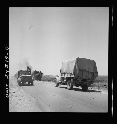 Tunis, Tunisia. Allied troops entering the city