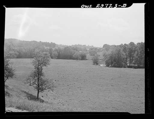 Land typical of that along the Ohio River banks