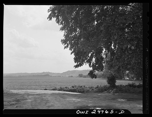 Point Pleasant (vicinity), West Virginia. Farm land.