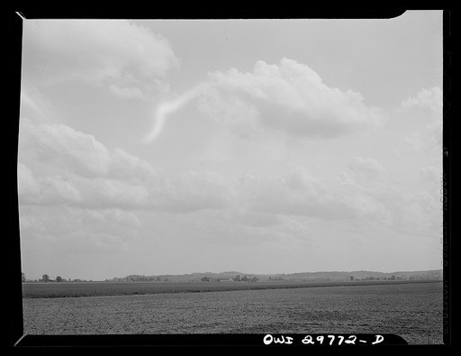 Untitled photo, possibly related to: Point Pleasant, West Virginia. The farm of C.C. Lewis and Sons