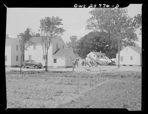 Point Pleasant, West Virginia. Mrs. Fergusen hanging out her wash. The victory garden is in the foreground