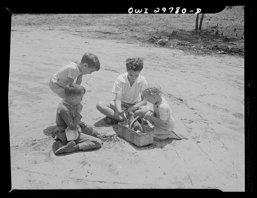 Untitled photo, possibly related to: Point Pleasant (vicinity), West Virginia. Children playing with puppy