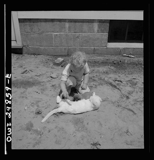 Point Pleasant, West Virginia. A child playing with a kitten