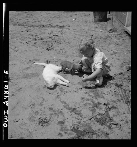 Point Pleasant, West Virginia. A child with a small puppy and a kitten
